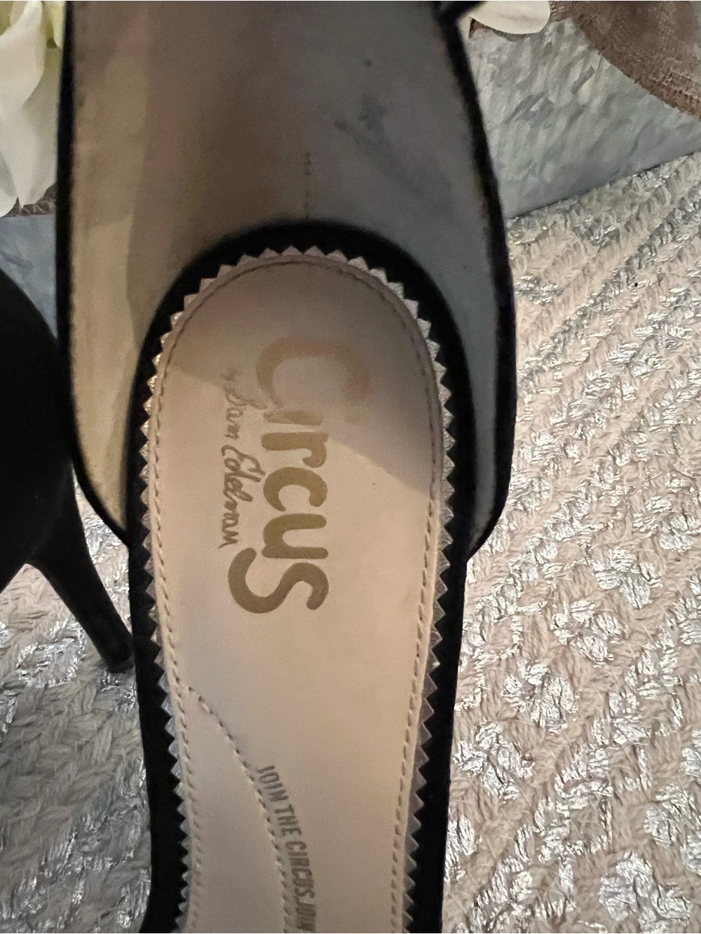 Circus by Sam Edelman Black Suede Ankle-Strap Stilettos - Picture 6 of 8